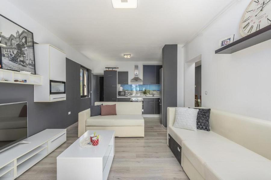 Novigrad Istria Apartment Zak מראה חיצוני תמונה